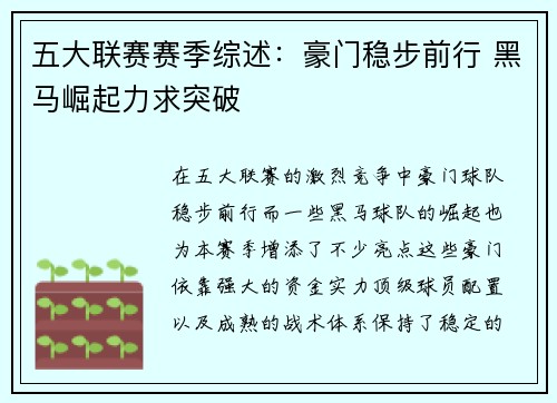 五大联赛赛季综述：豪门稳步前行 黑马崛起力求突破